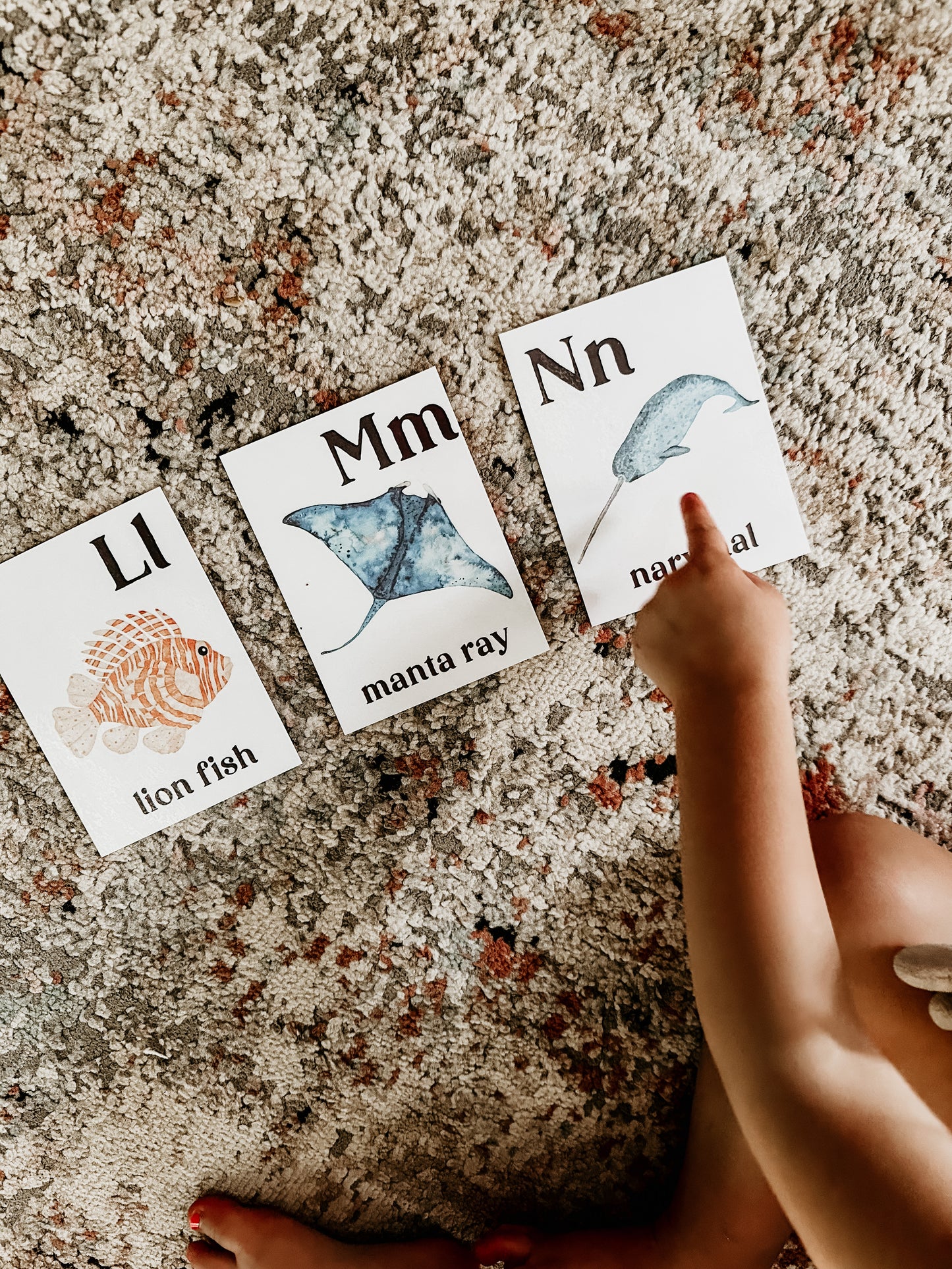 Ocean Alphabet Flash Cards | Digital Download
